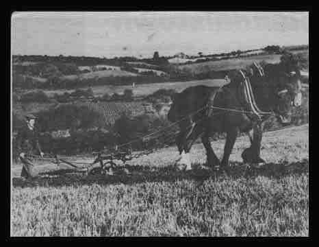 Annacloy, County Down, N. Ireland, 1950