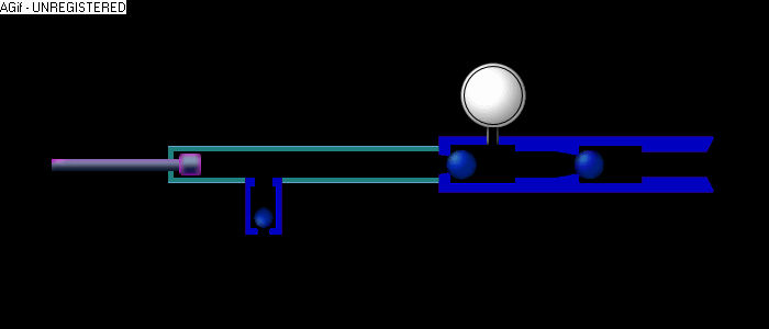 animation: if Bellocq had designed Neal