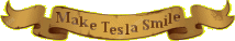 make tesla smile