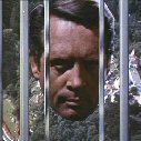 the prisoner