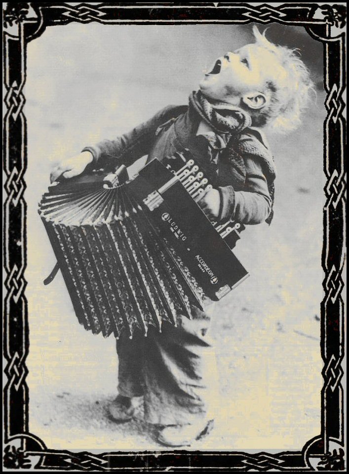Accordion boy